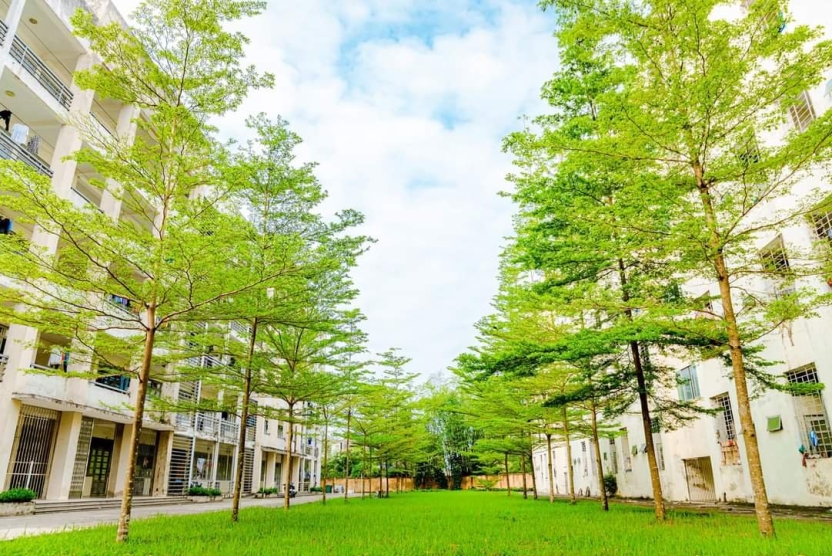 Quyết định vv thành lập Hội đồng Tự đánh giá chương trình đào tạo ngành Kỹ thuật máy tính