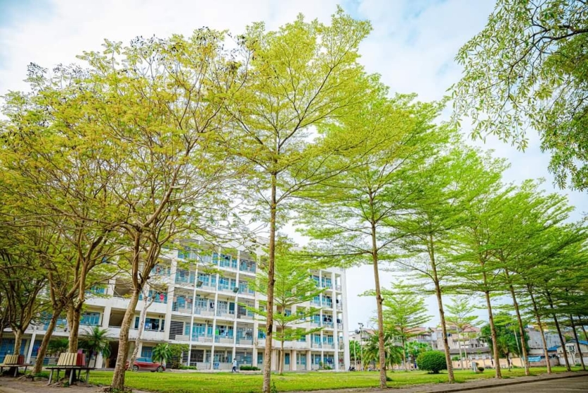 Kế hoạch cải tiến chất lượng giáo dục năm học 2023-2024